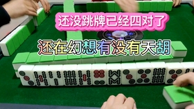 (2分钟介绍)“心悦辽宁麻将胡牌器—真实可以装挂