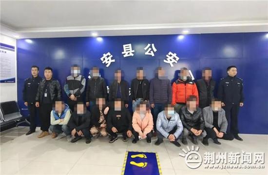 推荐十款！普通扑克牌分析器软件名称,推荐2个购买渠道