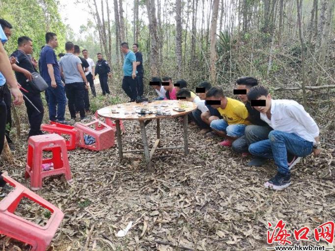 分享玩家攻略！扑克牌分析器老款,推荐2个良心渠道