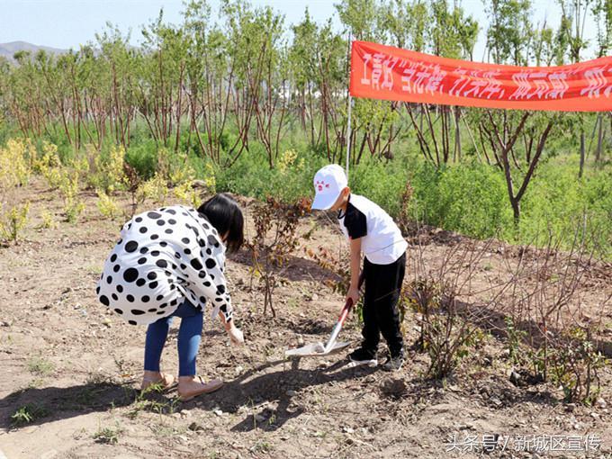 实测分享“玩小九技巧怎么看边的_《爱问知识人 使用说明》