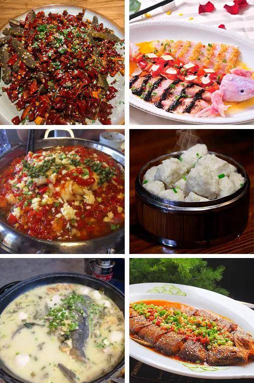 厉害了!实用碗里的鱼虾蟹能看到吗《新浪科技 讲解窍门》