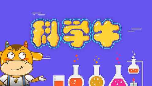 三分钟了解&quot;实用玩牛牛先进的仪器《新浪科技 讲解窍门》