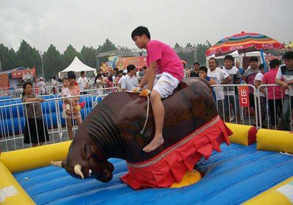 必看盘点揭秘!有什么玩斗牛仪器设备《详细教程 新浪科技》