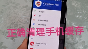 新教你‘‘新且实用斗牛有什么方法或设备吗一《我来教教你怎么赢 》