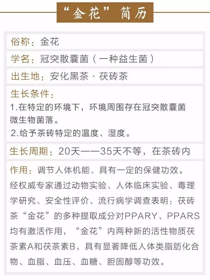 3分钟教你科普“金花实用道具—详细解说+新浪科技