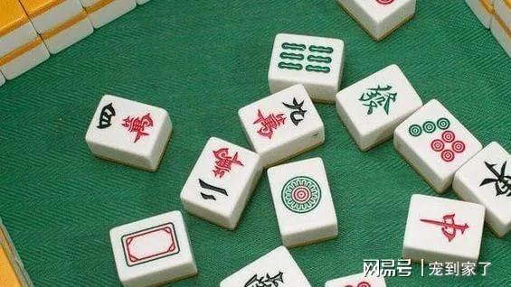 分享决窍“近打牌老是输怎么转运《详细教程 新浪科技》