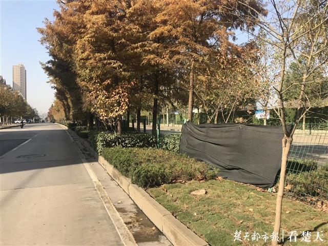厉害了!如何看穿木棍猜缺口+_《爱问知识人 使用说明》