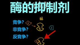 三分钟了解&quot;教你三公大吃小出老 千技巧三大秘诀—详细解说+新浪科技