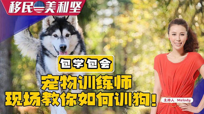 5分钟教会你“终于找到斗牛出千方法视频一《我来教教你怎么赢 》