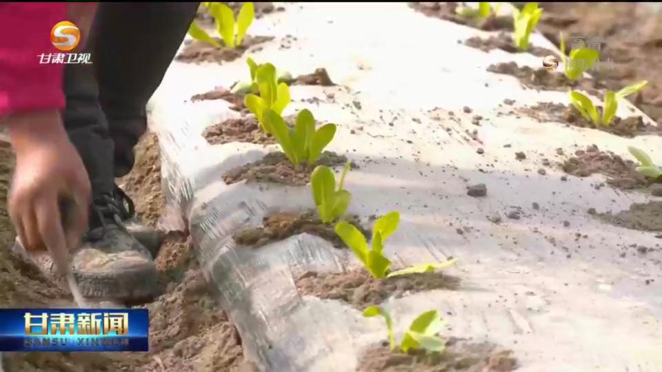 优选推荐“玉米看视分析仪一《我来教教你怎么赢 》