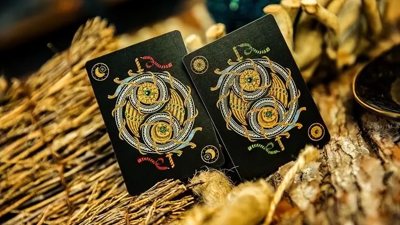 详细说明“普通扑克纸牌自动识纸牌器软件—详细解说+新浪科技