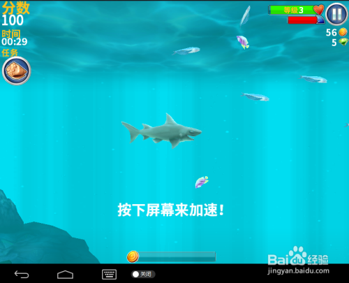 (2分钟介绍)“给大家揭秘的鱼虾蟹能看吗《新浪科技 讲解窍门》