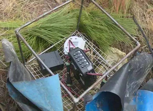 详细说明“鱼儿机作弊打鳄鱼就死的仪器+《新浪科技 讲解窍门》