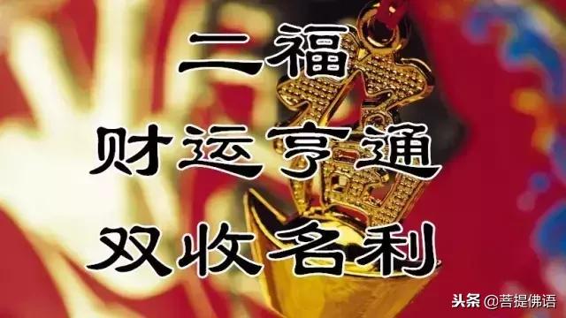 财神十三张如何提高胜率(揭秘手机上确实有猫腻)