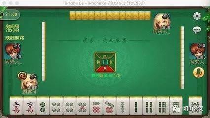 微乐宁夏麻将有猫腻吗(揭秘微信里必备神器)