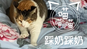 5分钟教会你“斗牛有什么能赢的先进设备仪器一《我来教教你怎么赢 》