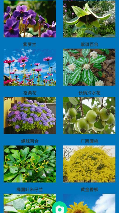 「热点资讯」打金花最简单的几种作弊方法—详细解说+新浪科技