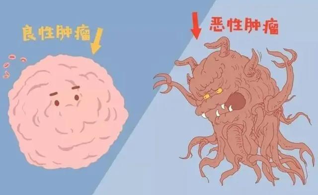 哥哥杭州麻将程序究竟是不是有挂(其实是有挂确实有挂)