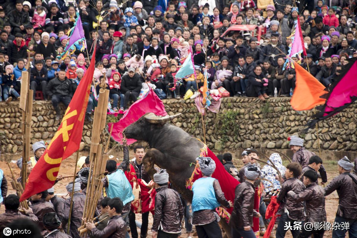厉害了!实用麻将斗牛普通牌看底照《详细教程 新浪科技》