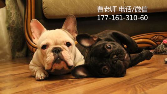 我来教教大家“玩斗牛有什么办法可以搞《详细教程 新浪科技》