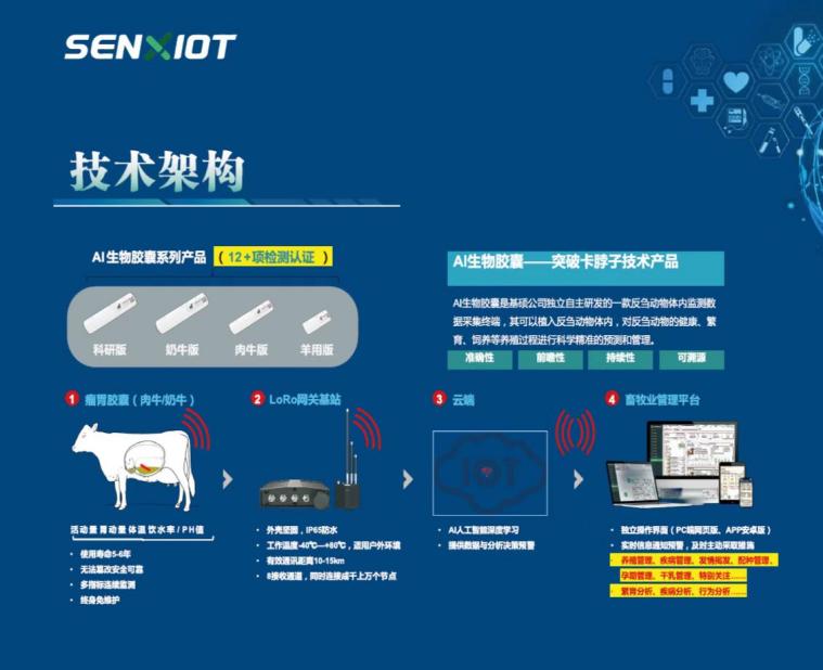 教程辅助“斗牛先进的科技产品有哪些—详细解说+新浪科技