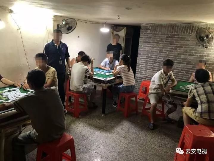 火爆全网!多人打三公先进的设备—详细解说+新浪科技