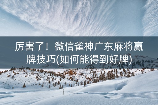 微信雀神麻将怎么设置才赢(揭秘手机上攻略插件)