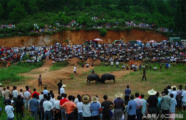 玩家必备攻略“关于最简单斗牛庄家赢的概率—详细解说+新浪科技