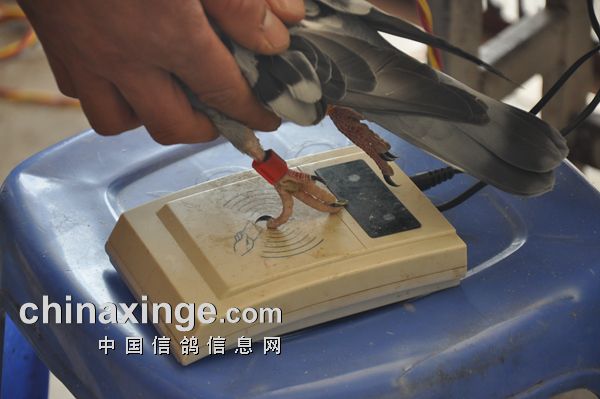 详细说明“堵三公什么仪器好《详细教程 新浪科技》