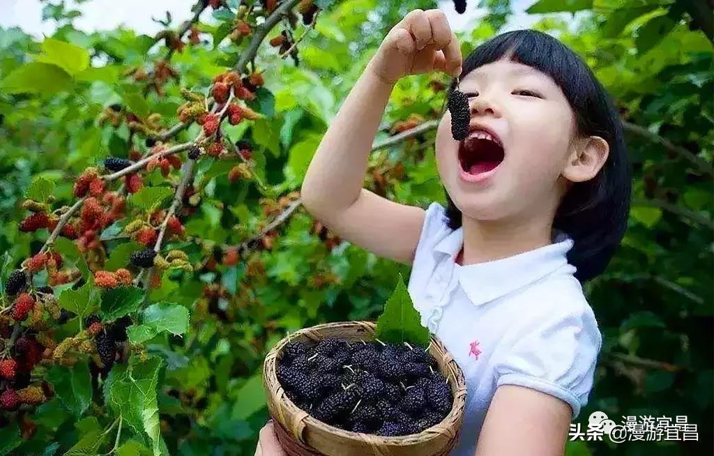 公社麻将确实有挂吗(确实有挂)
