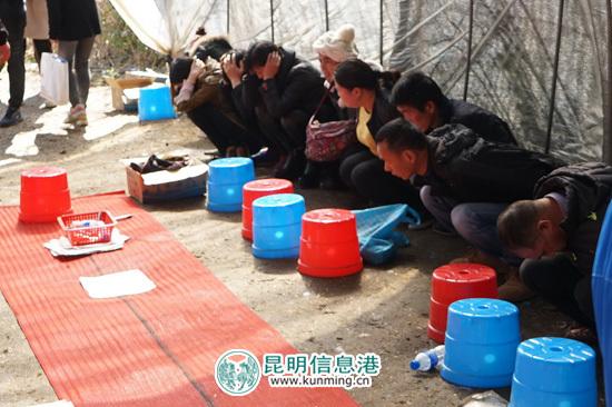 实测分享“普通牌色子猜单双有什么仪器设备吗—详细解说+新浪科技