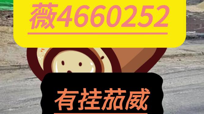 微乐宁夏麻将插件(其实真的有挂)