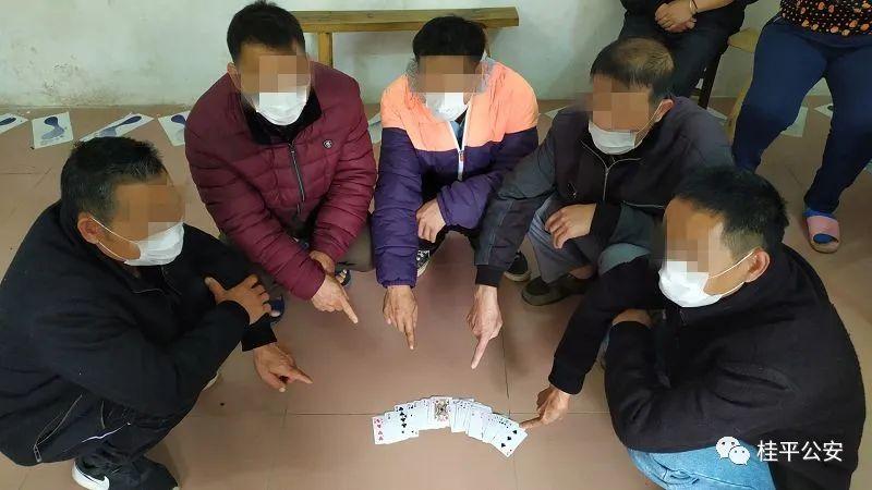 (2分钟介绍)“普通扑克三公先进仪器一《我来教教你怎么赢 》